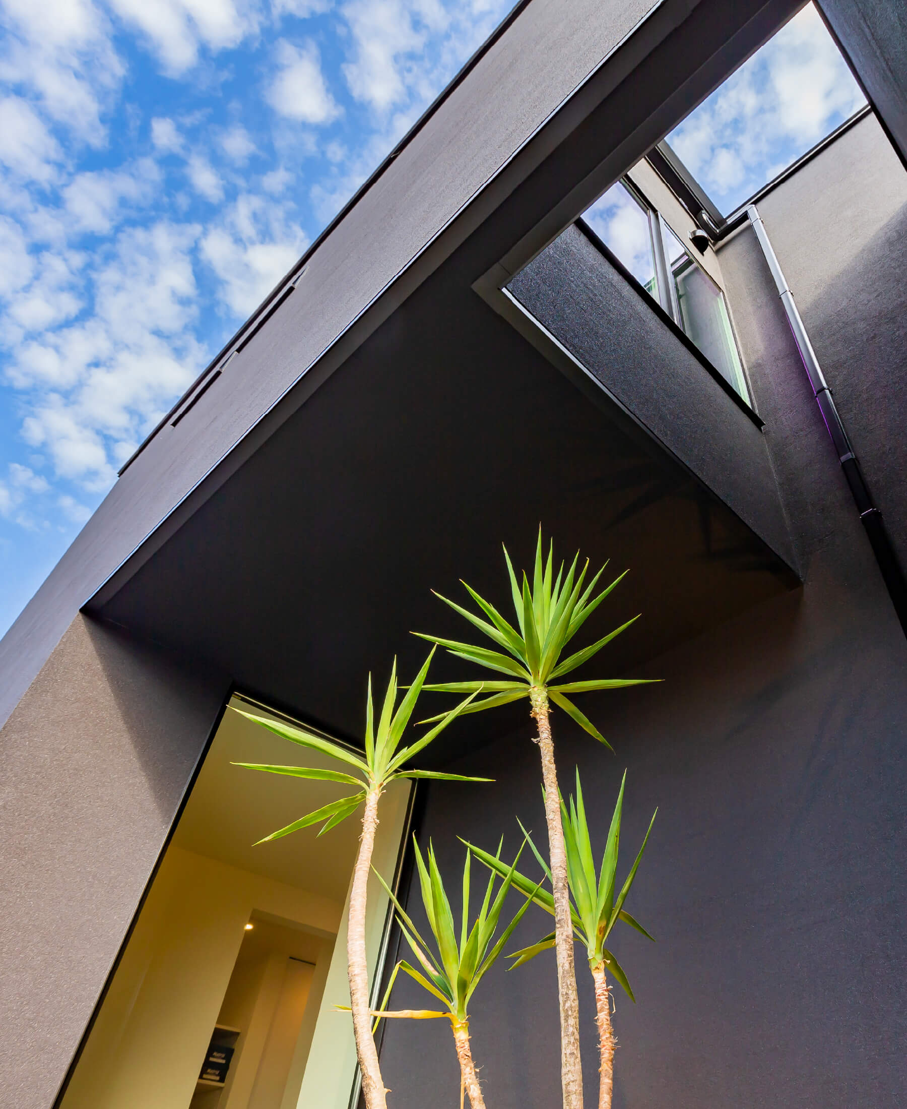 メインビジュアル画像