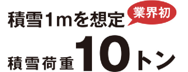 積雪1mを想定 積雪荷重10トン