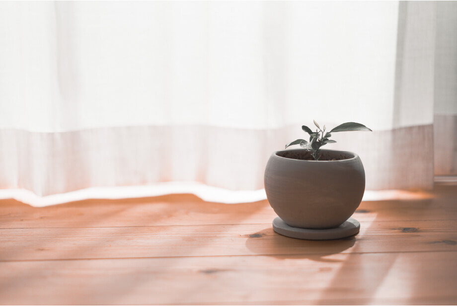 シロアリ保証：10年